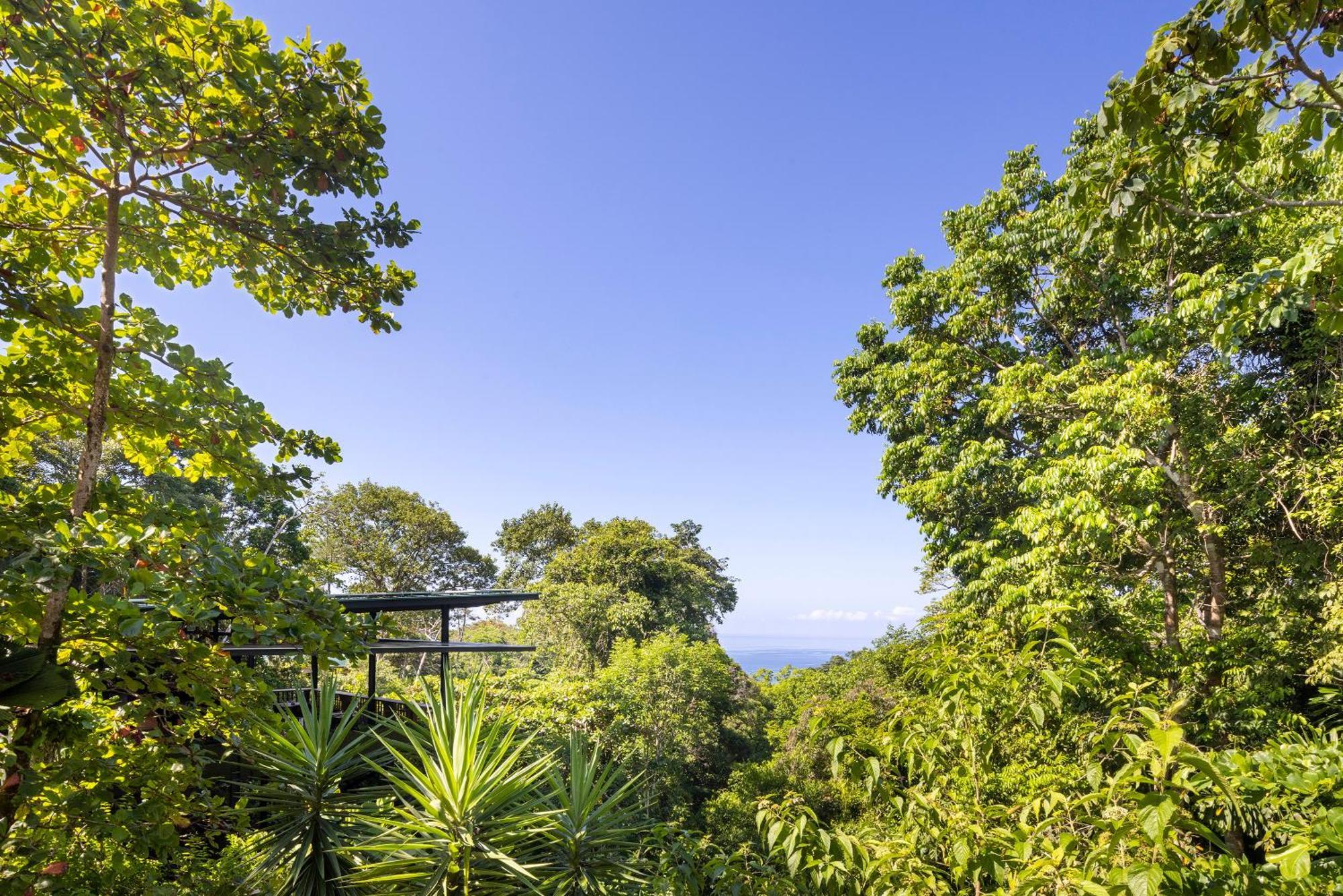 El Remanso Rainforest Lodge Puerto Jiménez Екстериор снимка