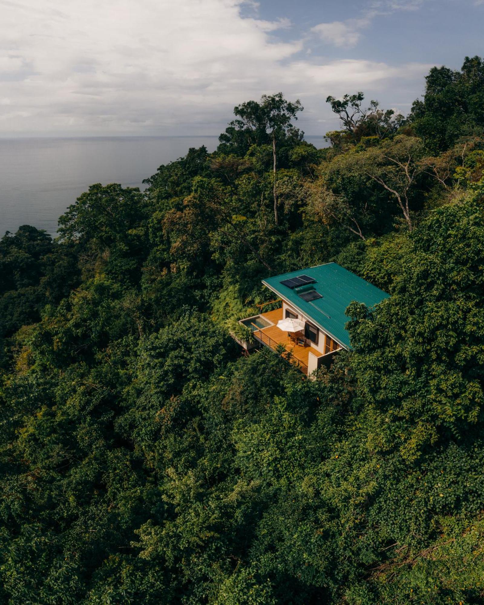 El Remanso Rainforest Lodge Puerto Jiménez Екстериор снимка
