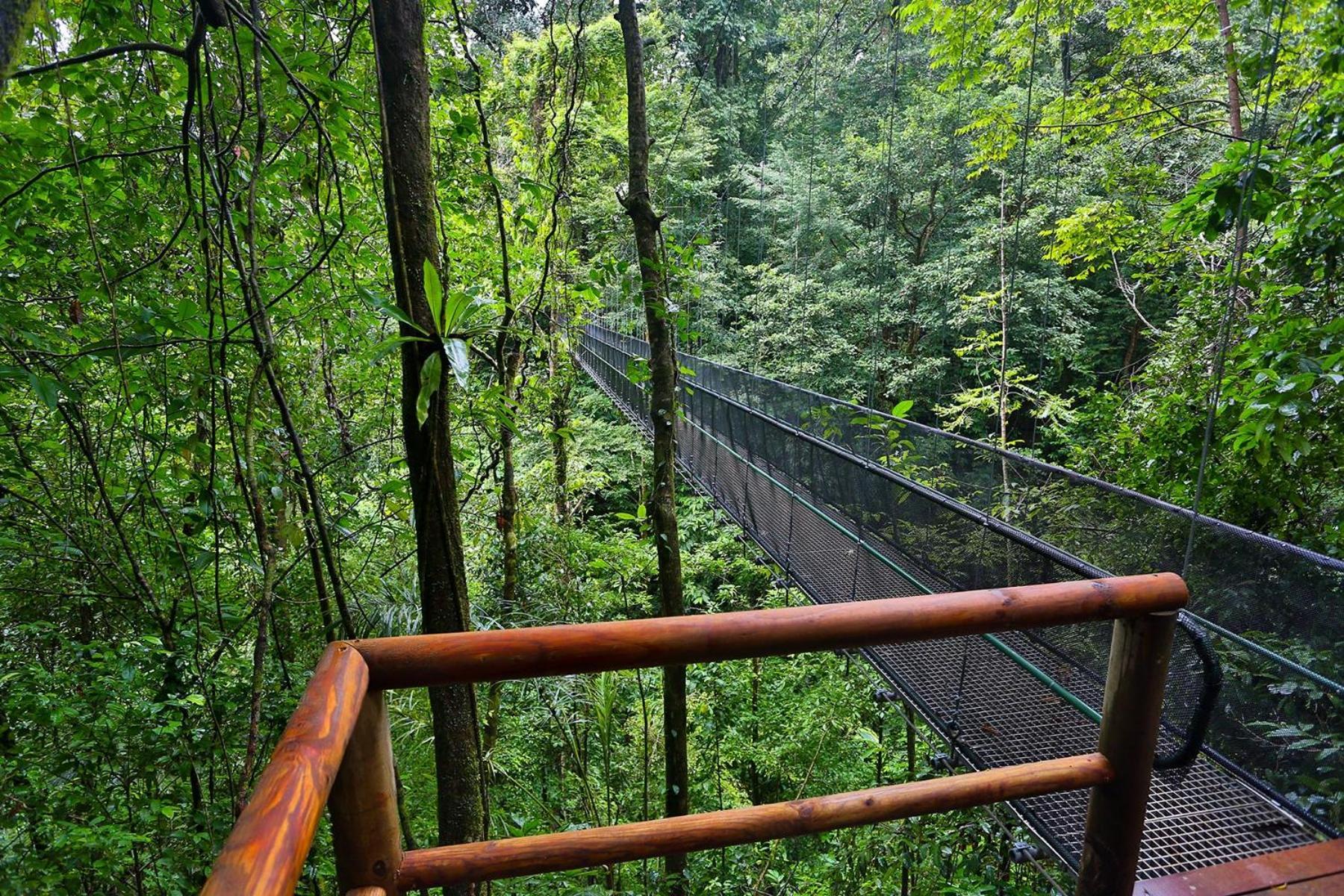 El Remanso Rainforest Lodge Puerto Jiménez Екстериор снимка