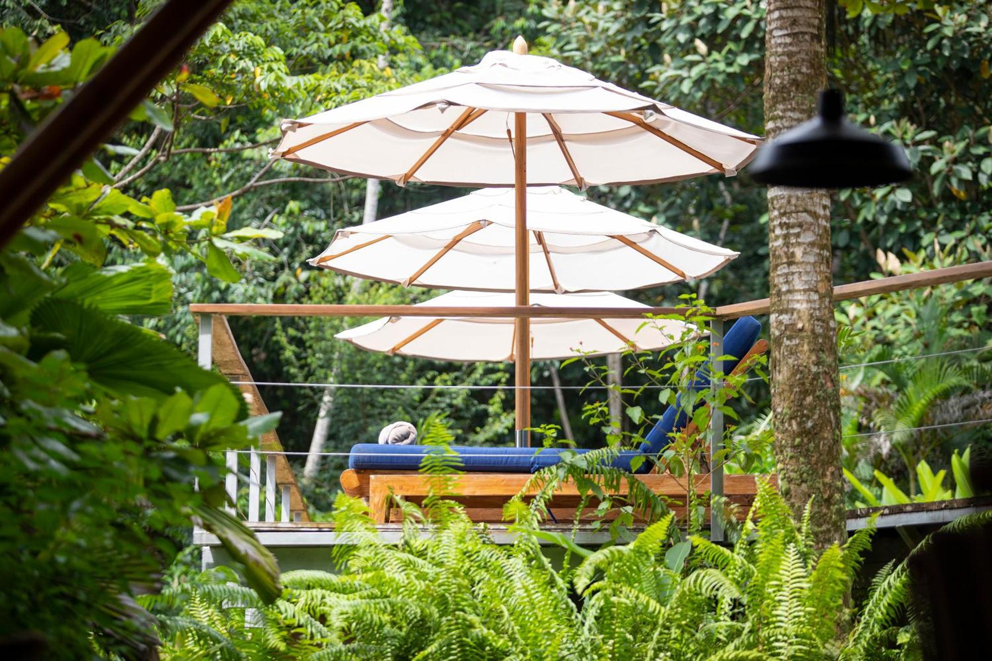 El Remanso Rainforest Lodge Puerto Jiménez Екстериор снимка