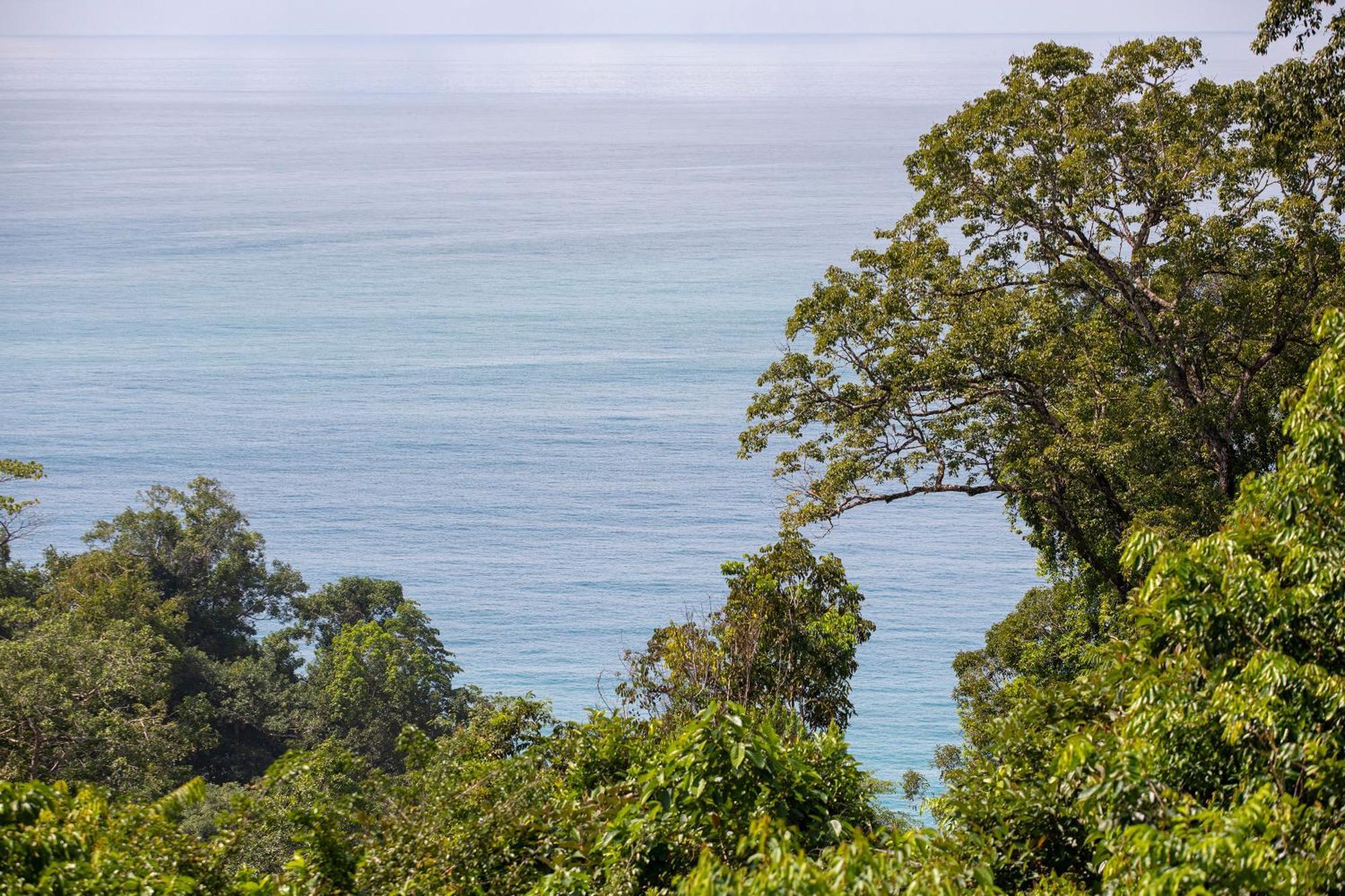 El Remanso Rainforest Lodge Puerto Jiménez Екстериор снимка