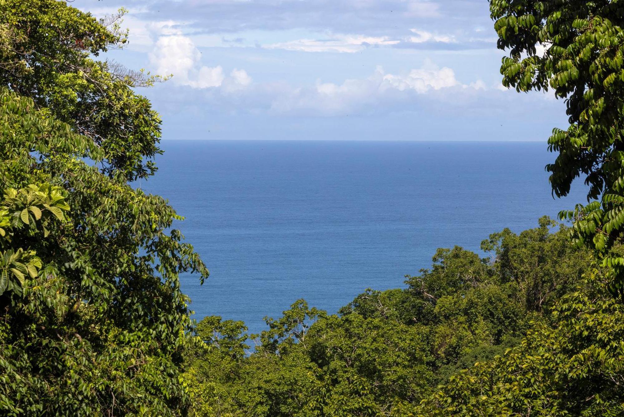 El Remanso Rainforest Lodge Puerto Jiménez Екстериор снимка